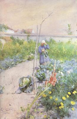 Carl Larsson In the Kitchen Garden (nn2 Spain oil painting art